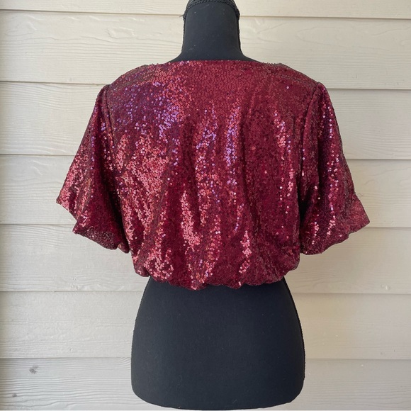 Day + Moon Cranberry  Sequin Top 
Size S - Picture 3 of 7